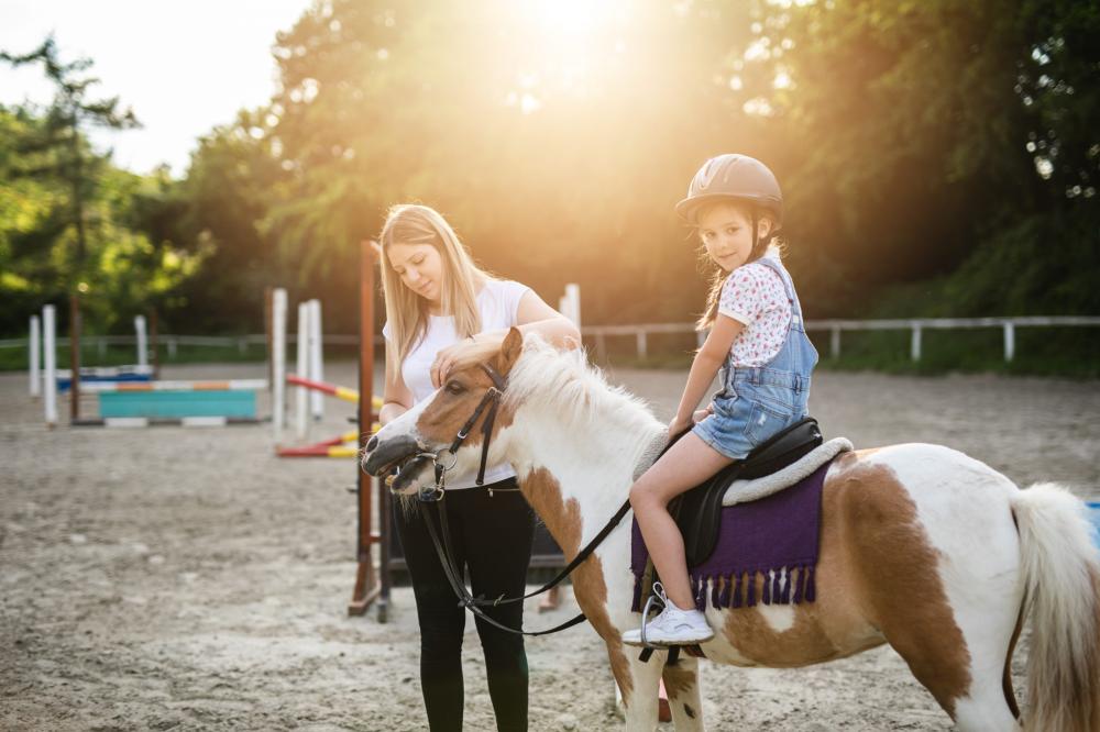 cavaliere-poney