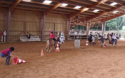 Cours équitation près de Orléans