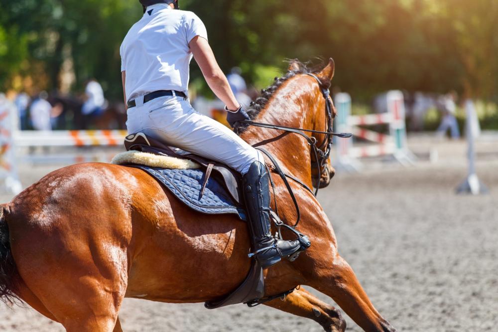cavalier-en-competition