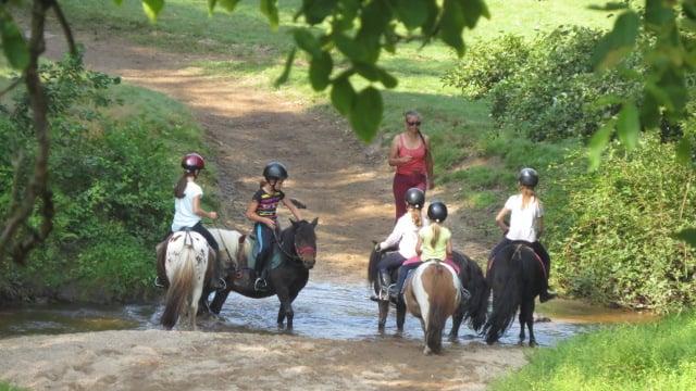 Poney club près de Orléans